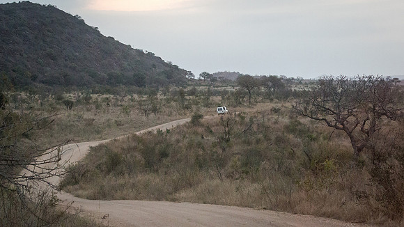 Friday - Kruger National Park