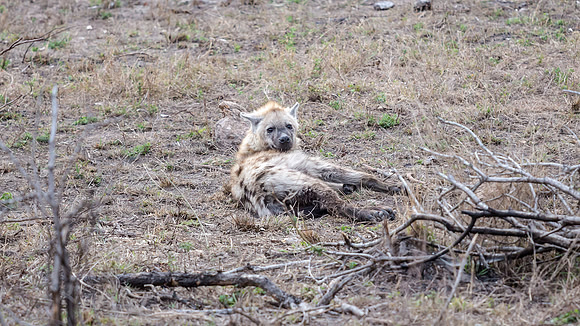 Friday - Kruger National Park