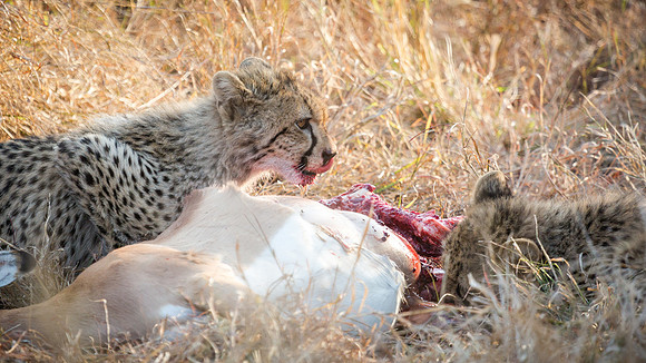 Saturday - Kruger National Park
