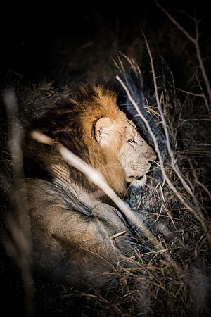 Sunday - Kruger National Park