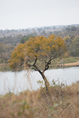 Sunday - Kruger National Park