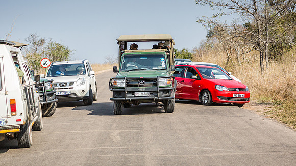 Saturday - Kruger National Park