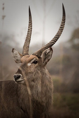 Sunday - Kruger National Park