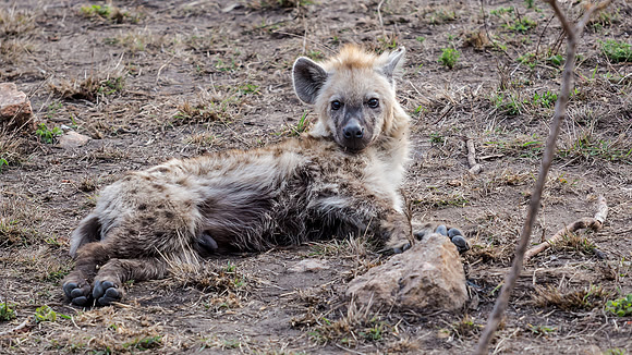 Friday - Kruger National Park