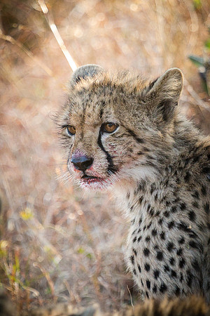 Saturday - Kruger National Park