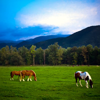 Cades Cove