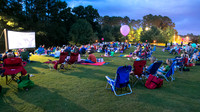 Movie On the Lawn