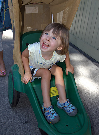 Day 2 (Dollywood)