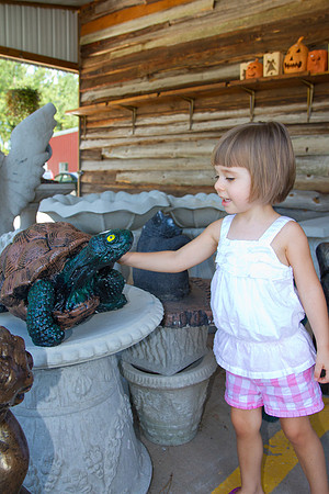Jaemor's Farm Market