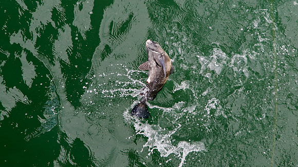 Saturday (07/05) - Daytona Beach Trip