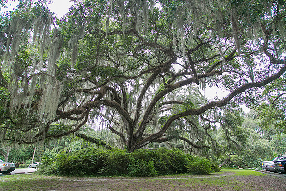 Wednesday (07/02) - Daytona Beach Trip - Ponce de leon Springs