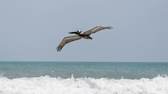 Thursday (07/03) - Daytona Beach Trip