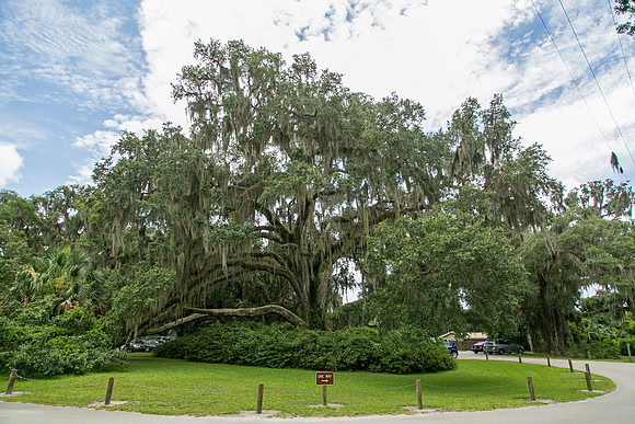 Wednesday (07/02) - Daytona Beach Trip - Ponce de leon Springs