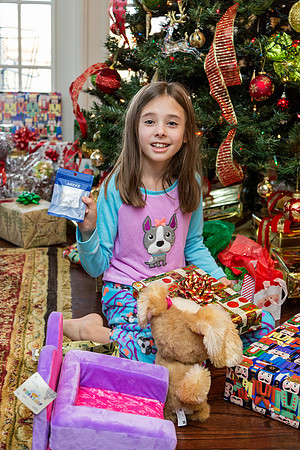 Christmas Day - Sunday (12/25)