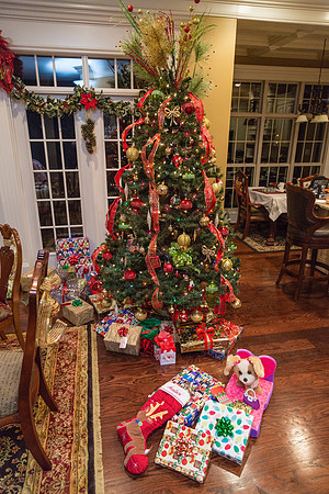 Christmas Eve - Saturday (12/24)