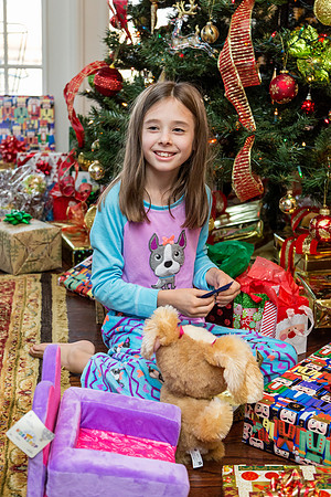 Christmas Day - Sunday (12/25)