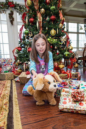 Christmas Day - Sunday (12/25)