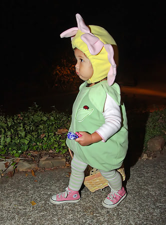 IMG_2678