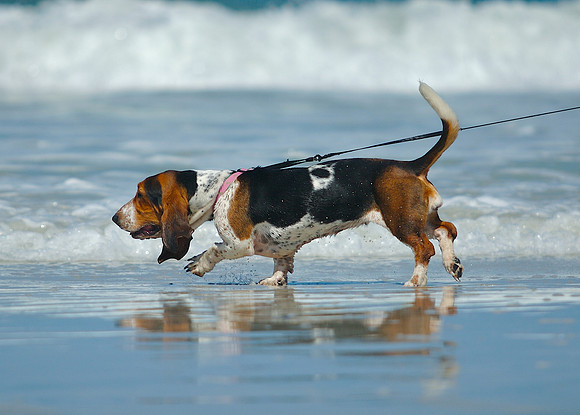 Friday - A day at the beach with old friends