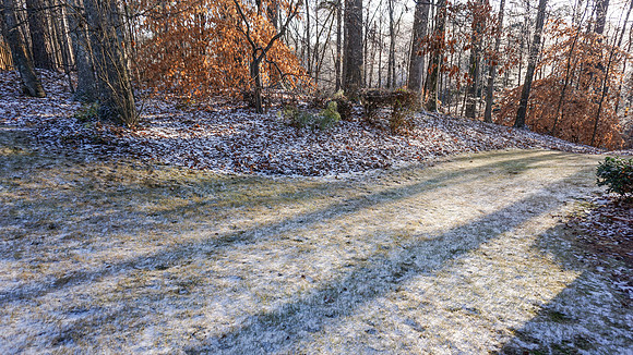 Snow Day 2017 - Saturday (01/07)