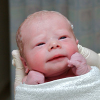 The Birth of Anneliese