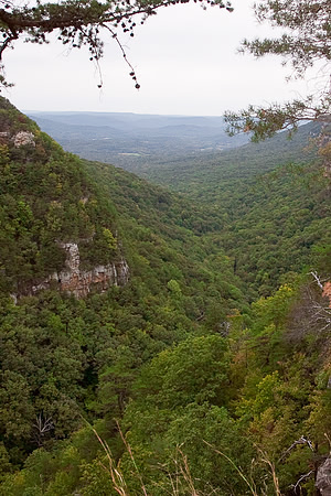 View of the Canyon