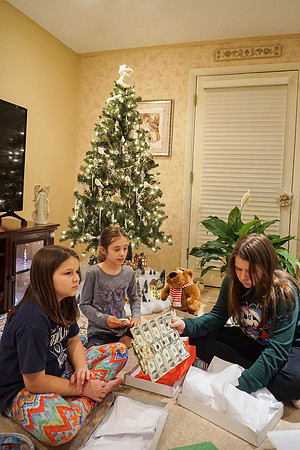 Pre-Christmas Family Gathering