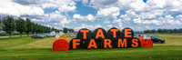 Dynetics Fall Picnic at Tate Farms