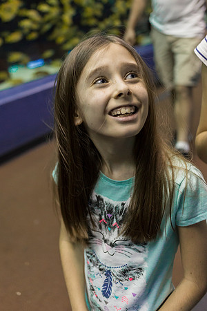 Georgia Aquarium