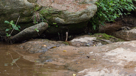 Spring Camping Trip - Victoria Bryant State Park