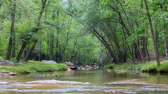 Spring Camping Trip - Victoria Bryant State Park