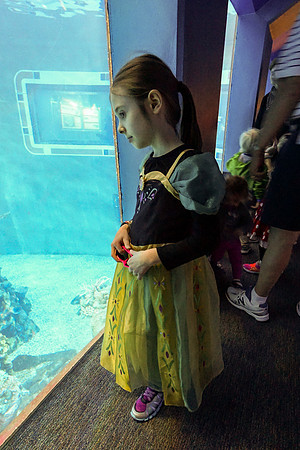 Epcot - Thursday (02/25)