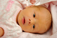Anneliese (Day 7)