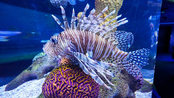 Epcot - Thursday (02/25)
