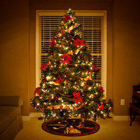 O Christmas Tree