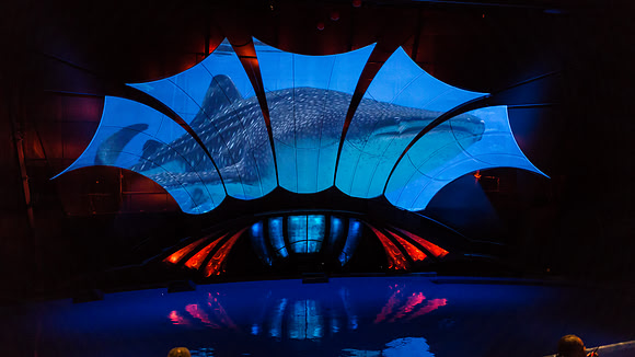 Georgia Aquarium