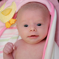 Anneliese (Week 6)