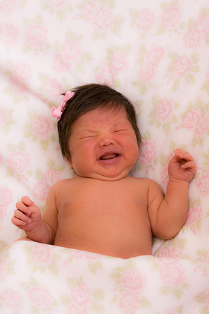 IMG_9010
