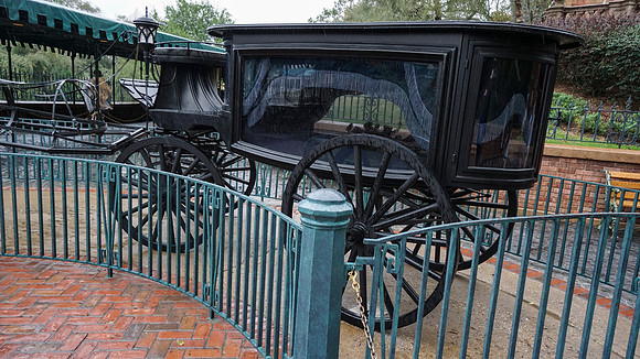 Magic Kingdom - Wednesday (02/24)