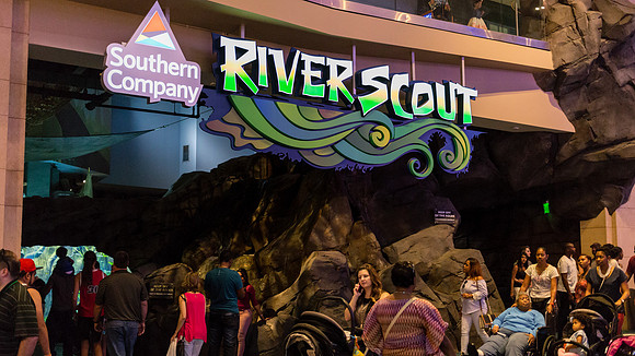 Georgia Aquarium