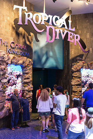 Georgia Aquarium