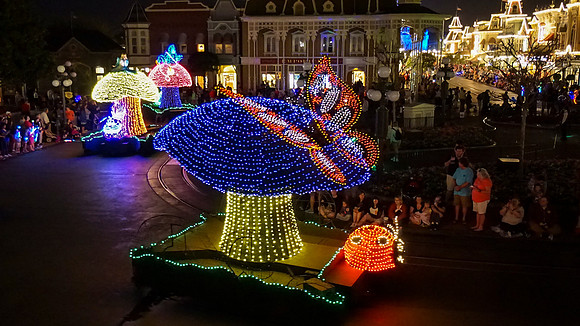Magic Kingdom - Wednesday (02/24)