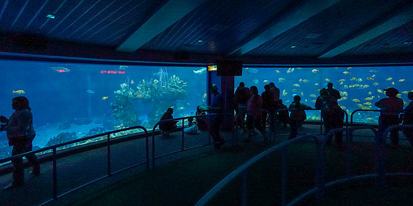 Epcot - Thursday (02/25)