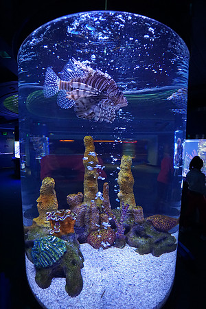 Epcot - Thursday (02/25)