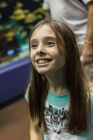 Georgia Aquarium
