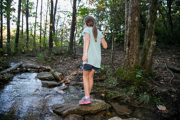 Friday (10/17) - Cloudland Canyon