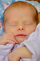 Anneliese (Day 16)