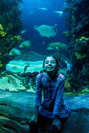 Chattanooga, Tennessee