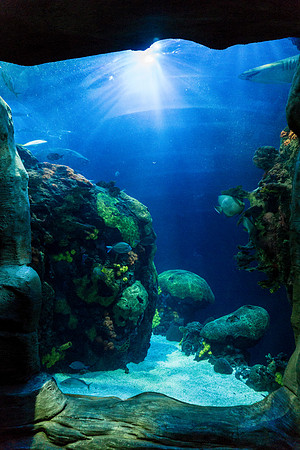 Chattanooga, Tennessee