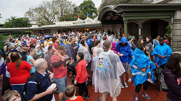 Magic Kingdom - Wednesday (02/24)